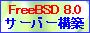 FreeBSD8.0 WEBサーバー構築